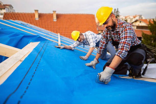 Professional Roofing service in Fridley, MN